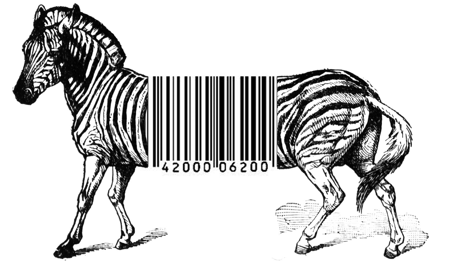 Barcode horse